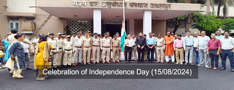 Celebration of Independence Day (15/08/2024)